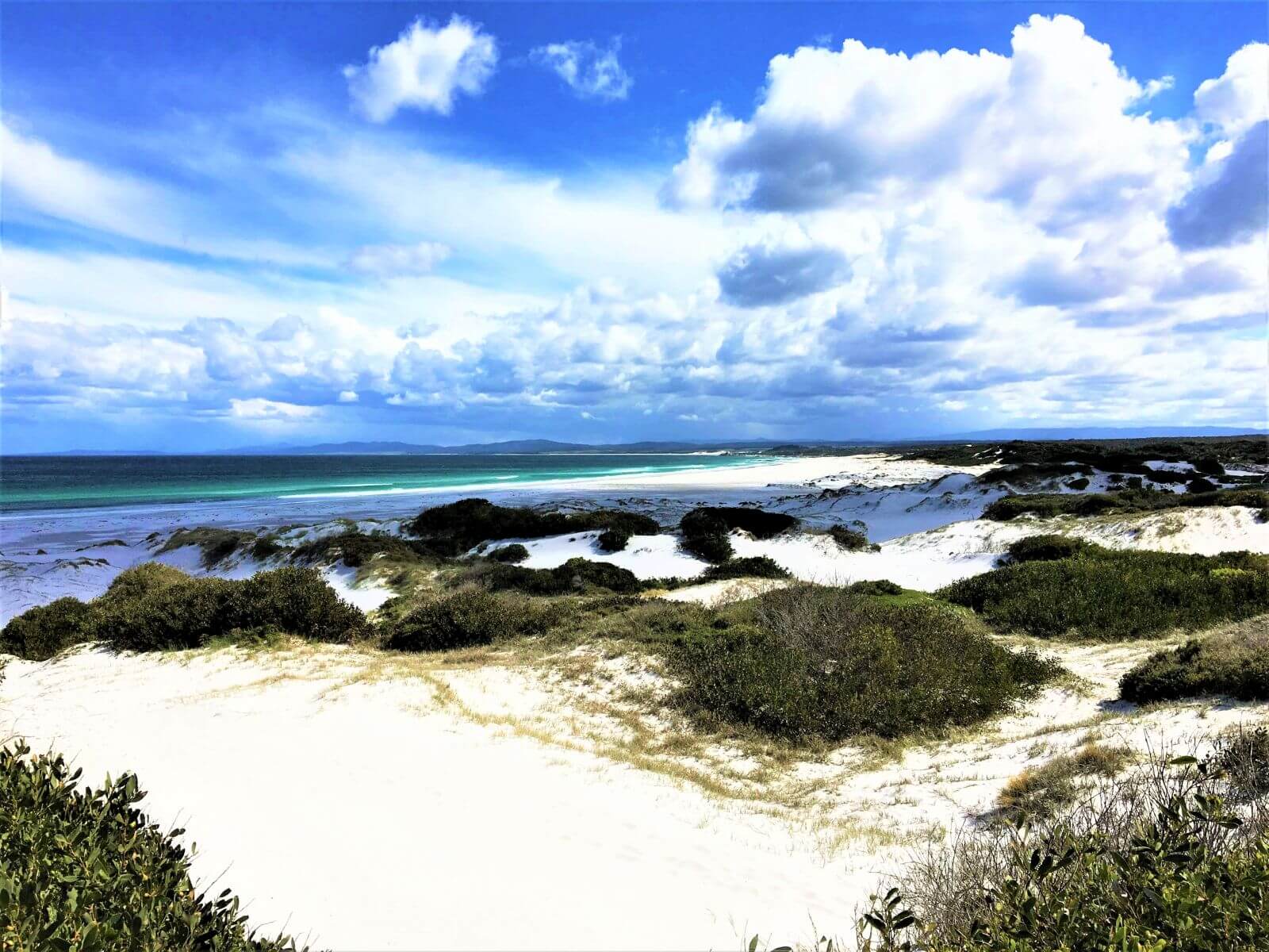 Tasmanien - Schönste Strände - Bay of Fires Beach