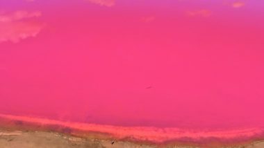 Pink Lake in Australien