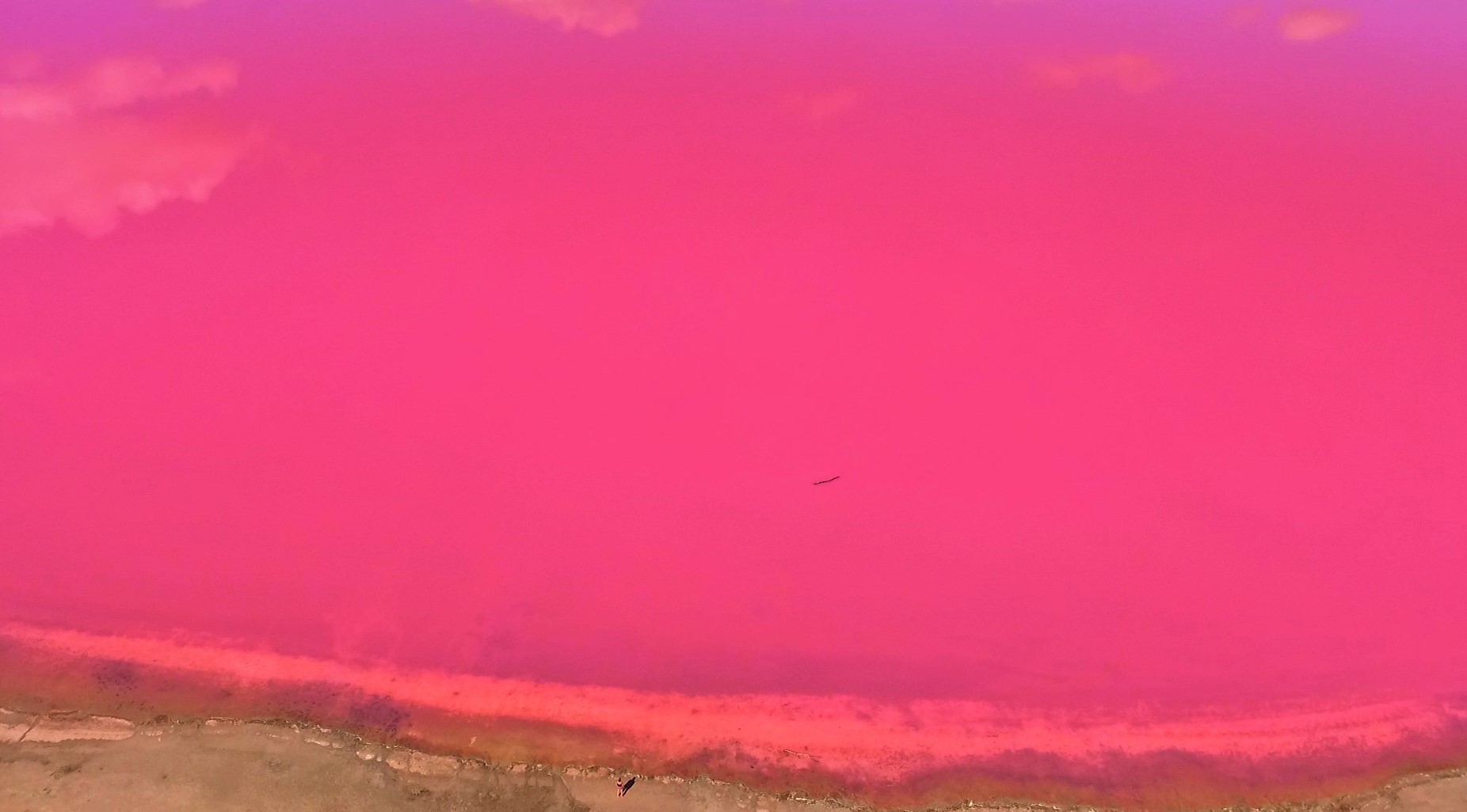 Pink Lake in Australien