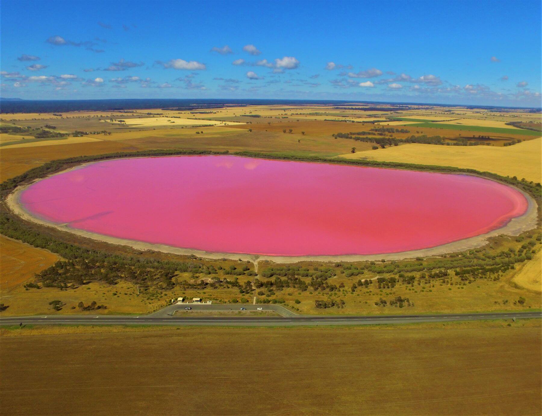 Pink Lake in Australien