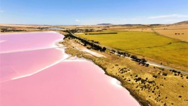 Rosa See in Australien - Der Lake Bumbunga