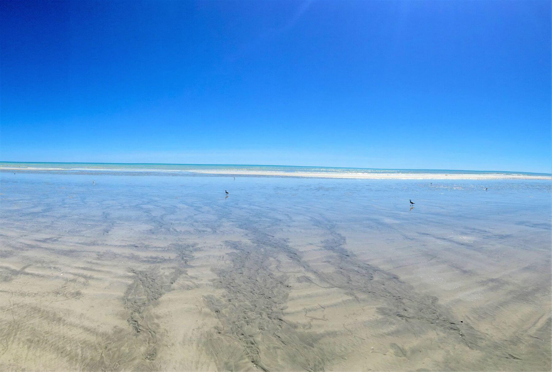 Eighty Mile Beach in Australien Tolles Highlight und Sehnsuchtsort!