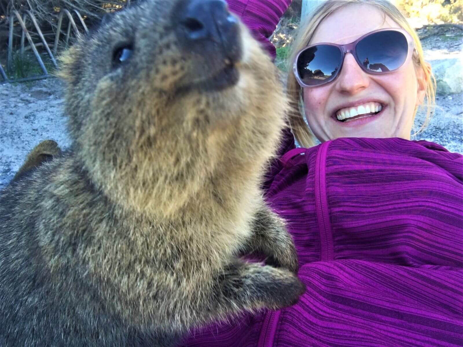 Selfie mit einem Quokka auf Rottnest Island