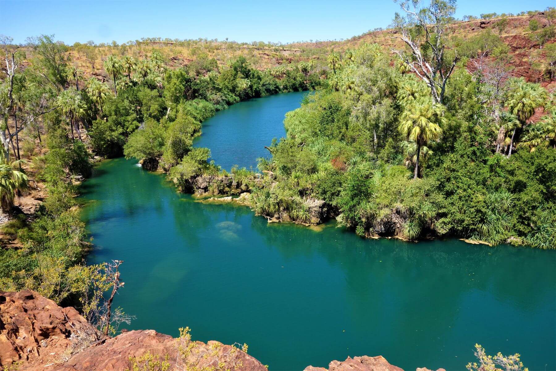 Türkisblauer Fluss Lawn Hill - Top Sehenswürdigkeit in Queensland