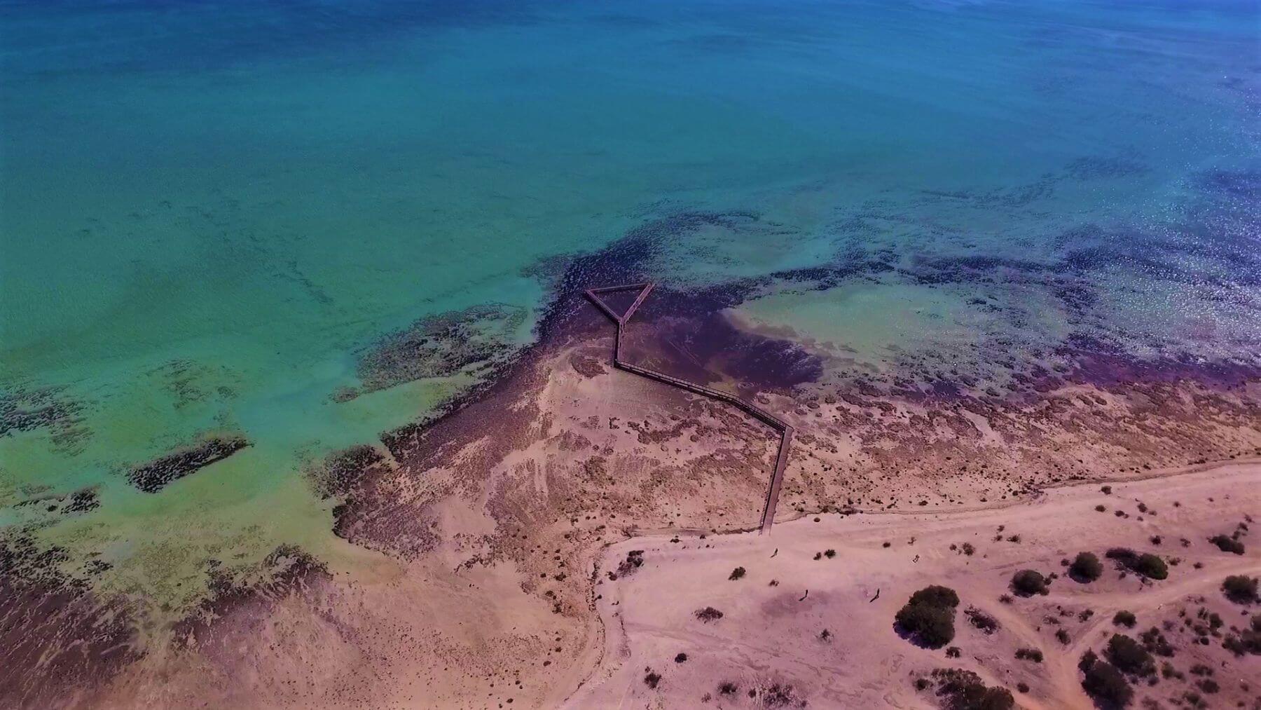 Shark Bay Sehenswürdigkeiten - Hamelin Pool