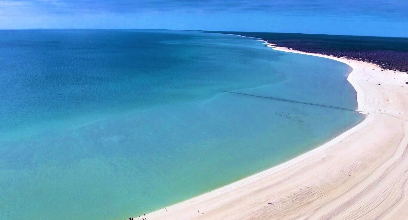Shark Bay in Australien - Shell Beach