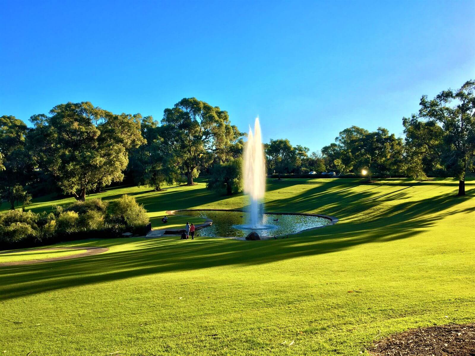 Sehenswürdigkeiten in Perth - Kings Park