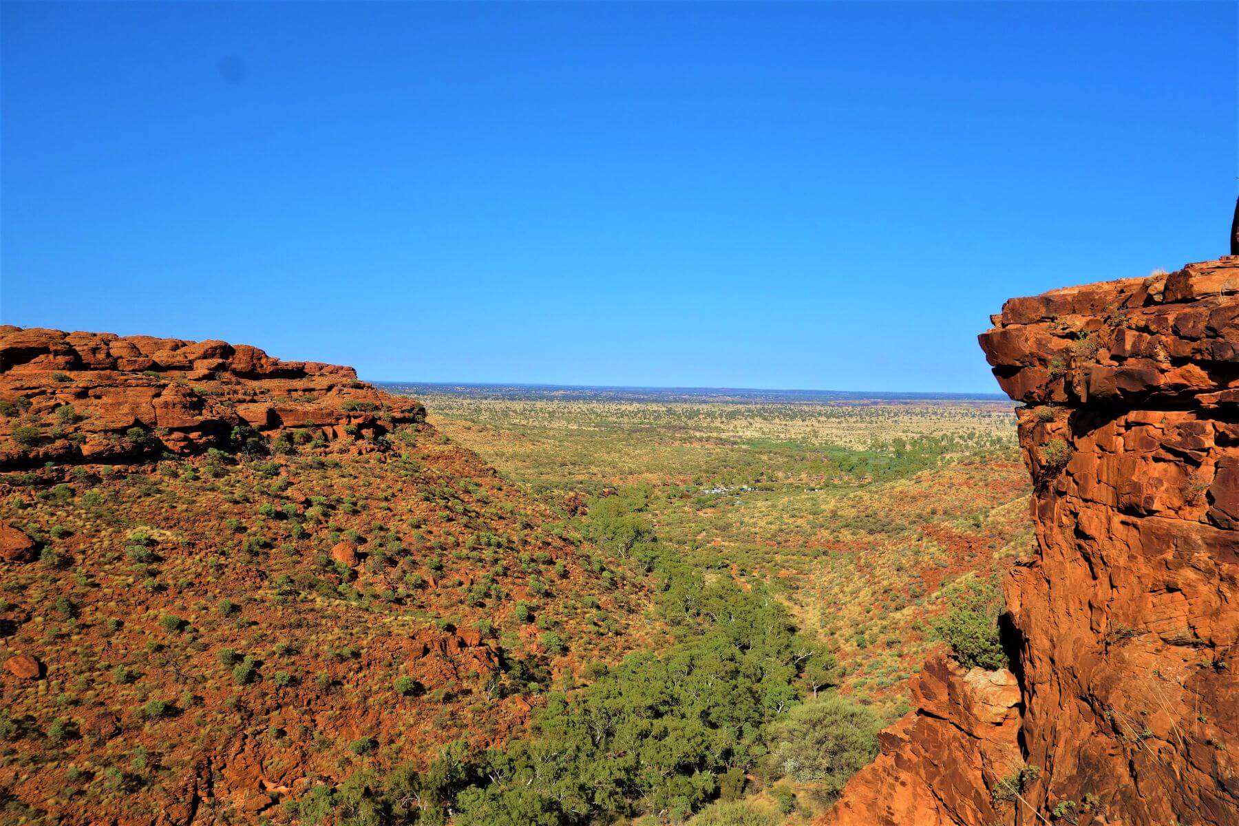 Ausblick vom Kings Canyon in Australien