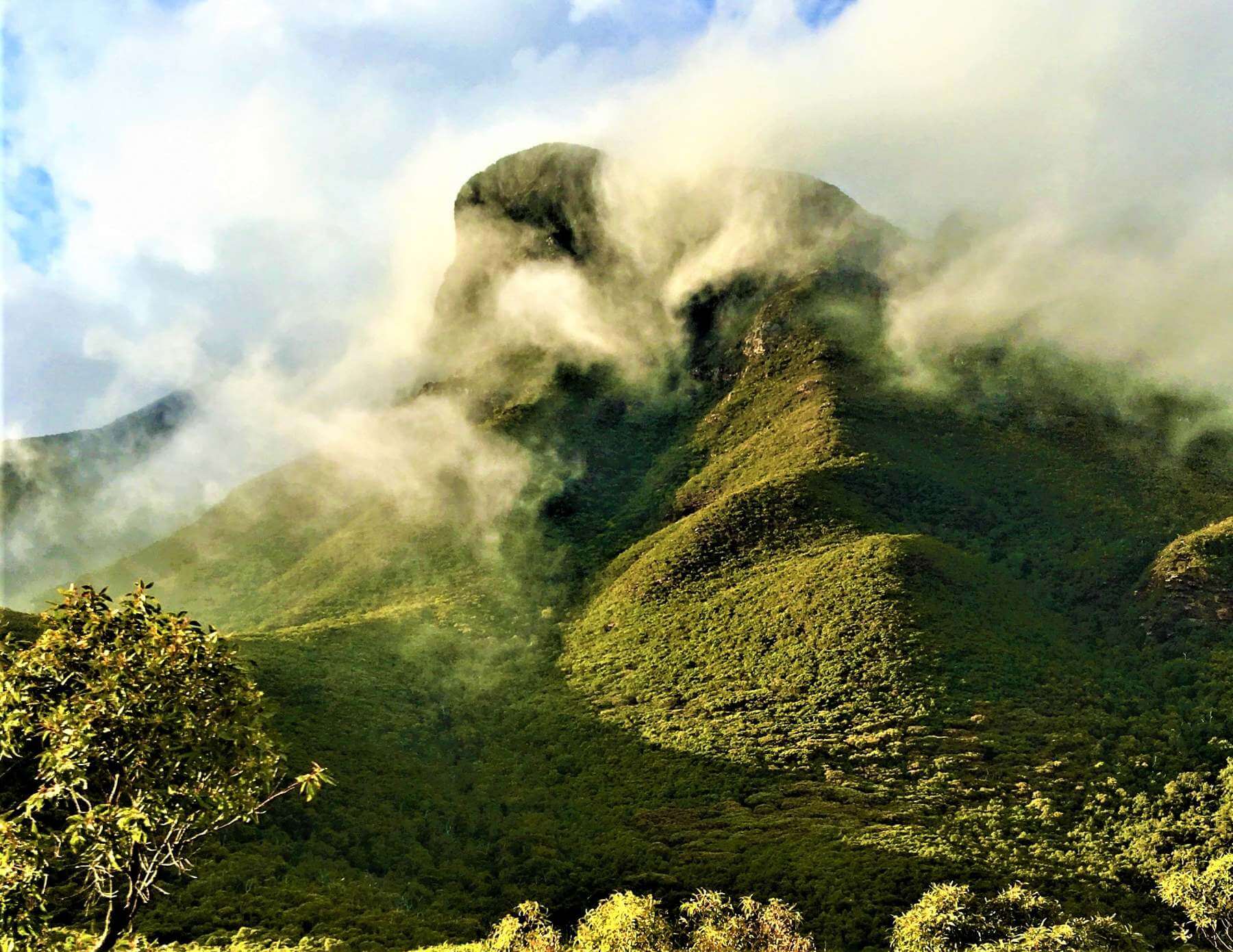 Bluff Knoll im Stirling Range Nationalpark