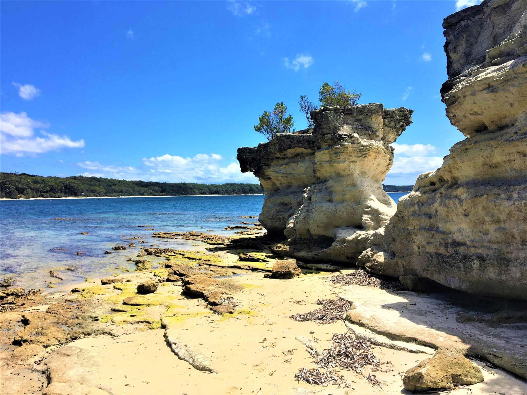 Felsen im Booderee National Park bei Jervis Bay