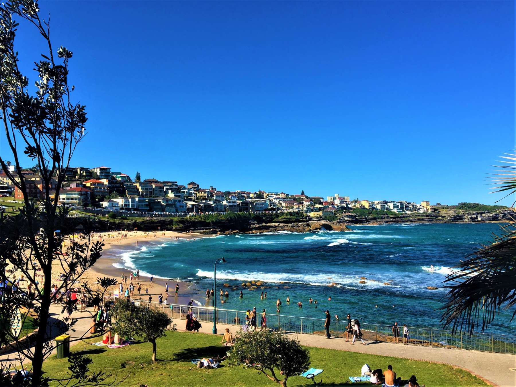 Blick auf den Bronte Beach - Sydney in Australien