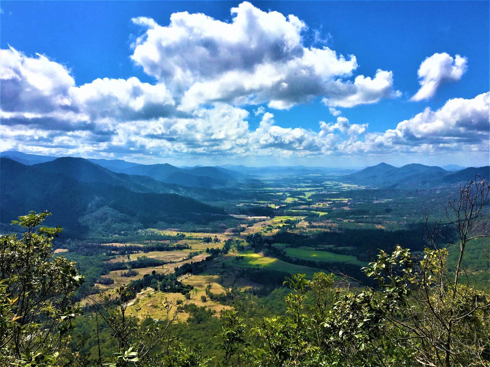 Blick auf den Eungella National Park in Australien