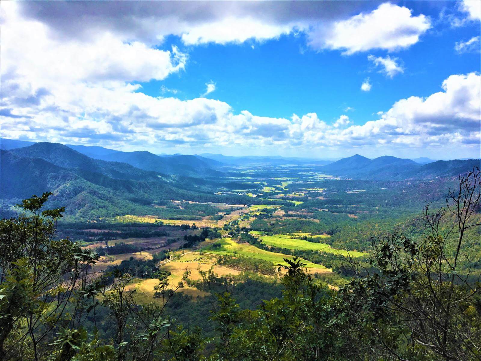 Blick auf den Eungella National Park in Queensland