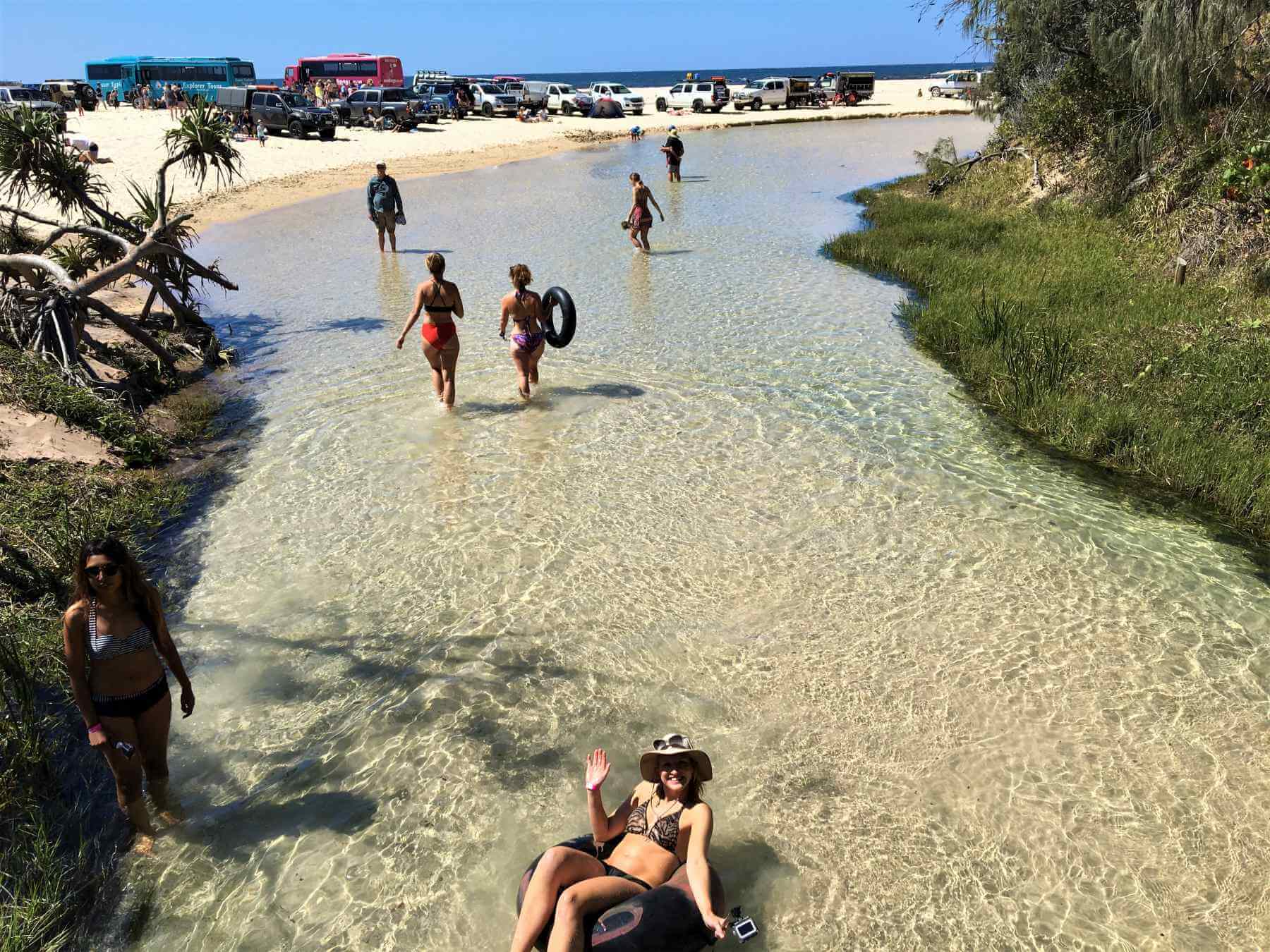 Bach Eli Creek auf Fraser Island - Ein Highlight