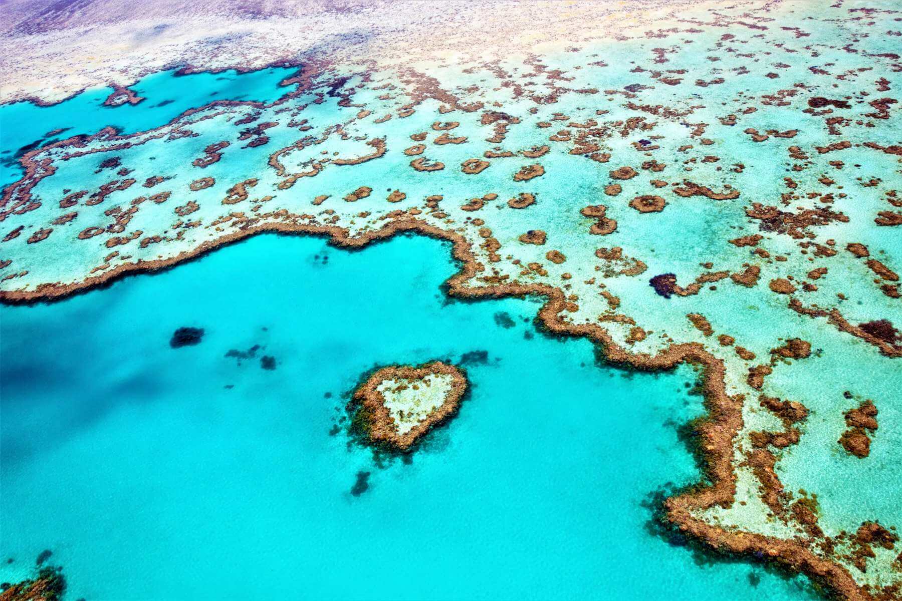 Heart Reef in Australien