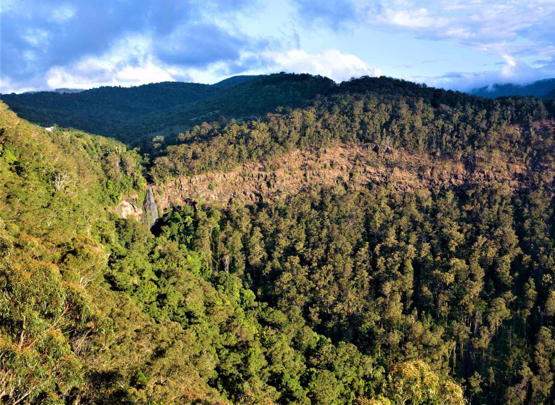 Blick auf den Lamington National Park in Australien