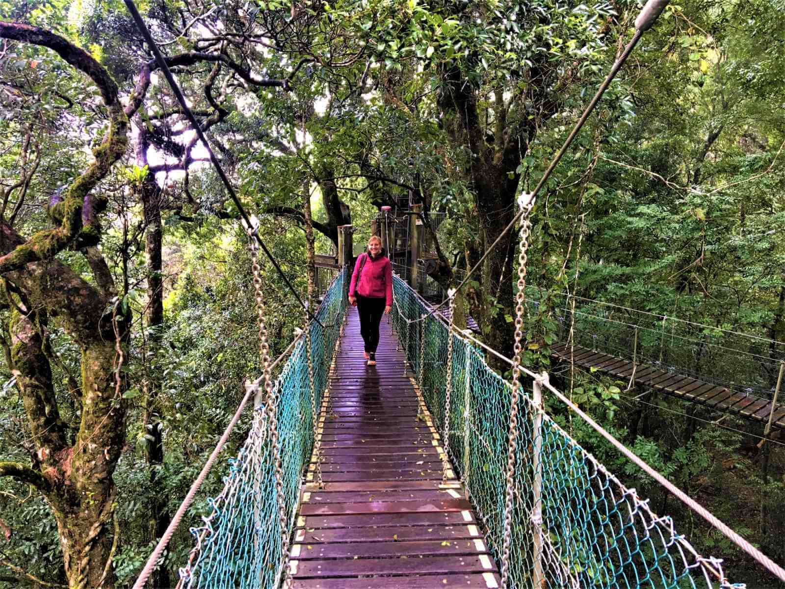 Green Mountains im Lamington National Park