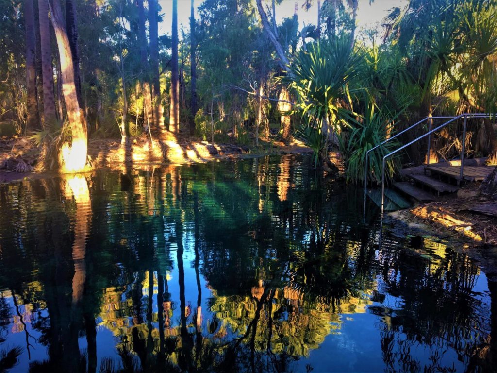 Bitter Springs Thermalquellen in Mataranka - Australien