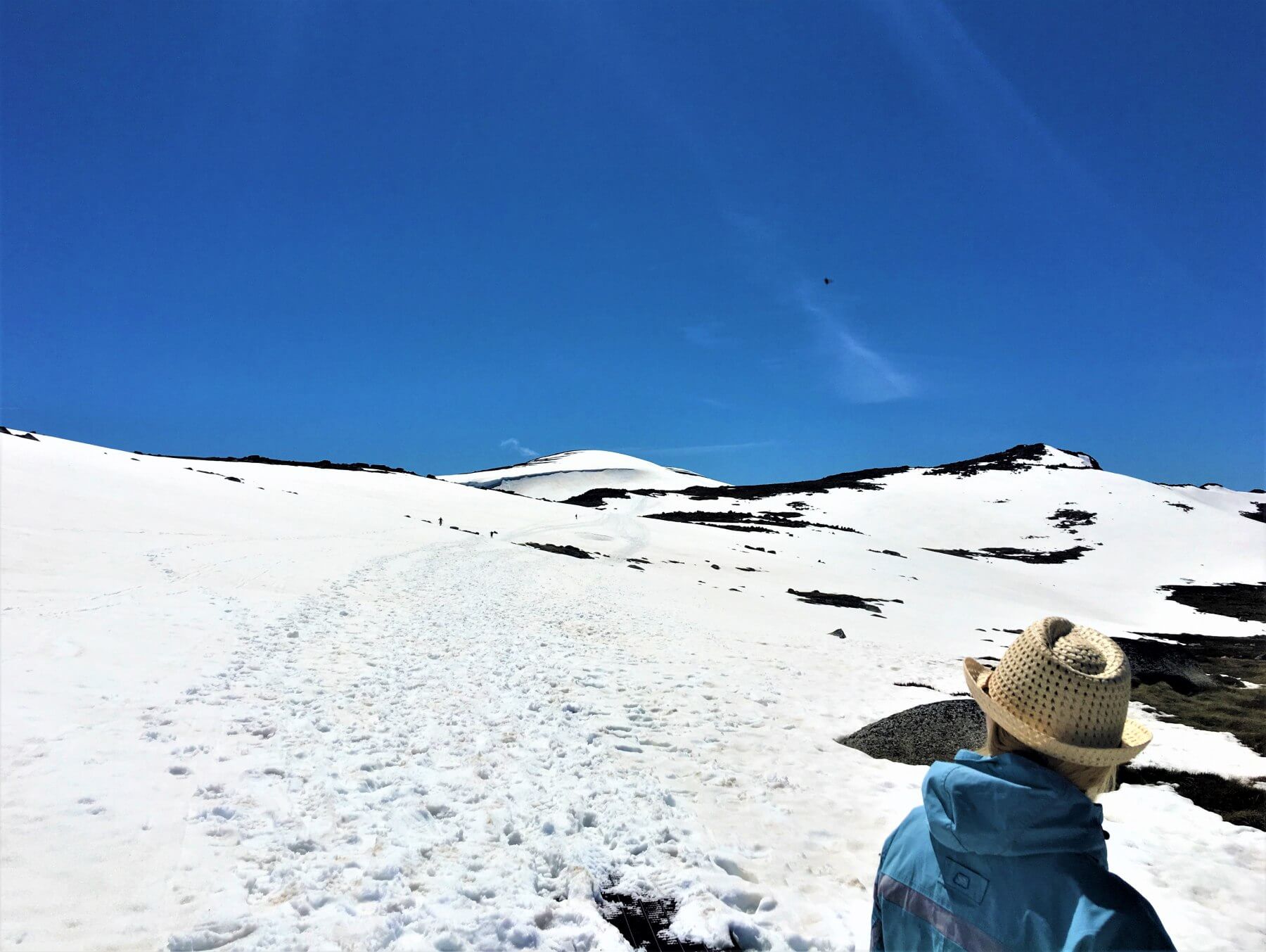 Mount Kosciuszko National Park