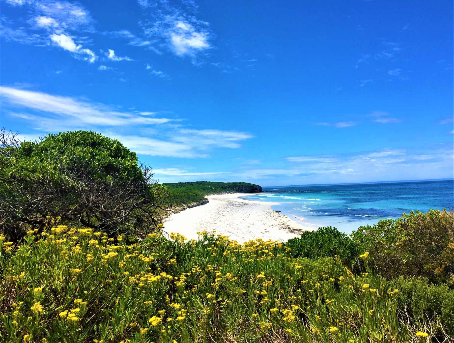 Must See auf Kangaroo Island - Strand