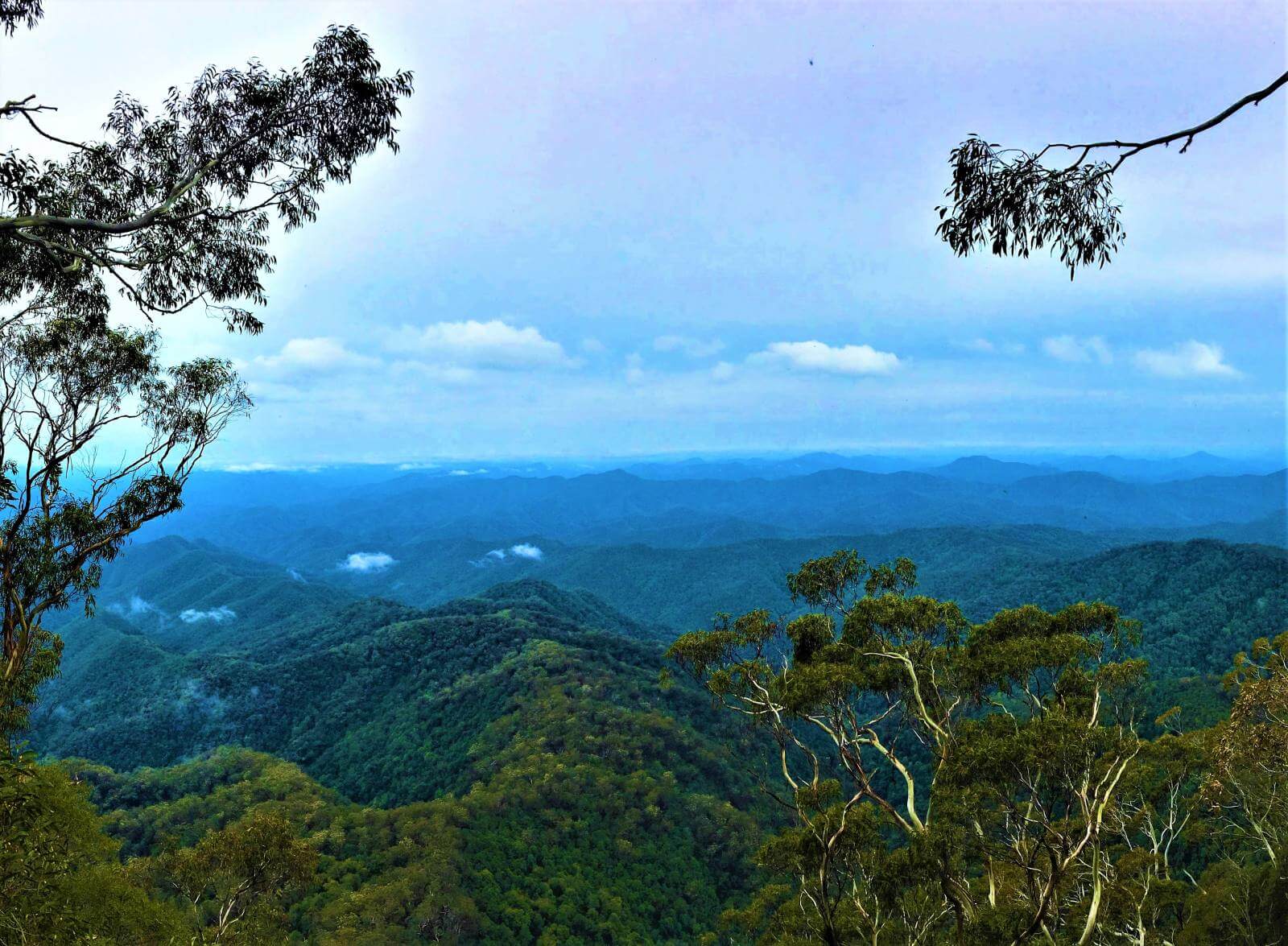 Blick auf den New England National Park in Australien