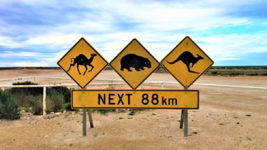 Nullarbor Ebene - Australien