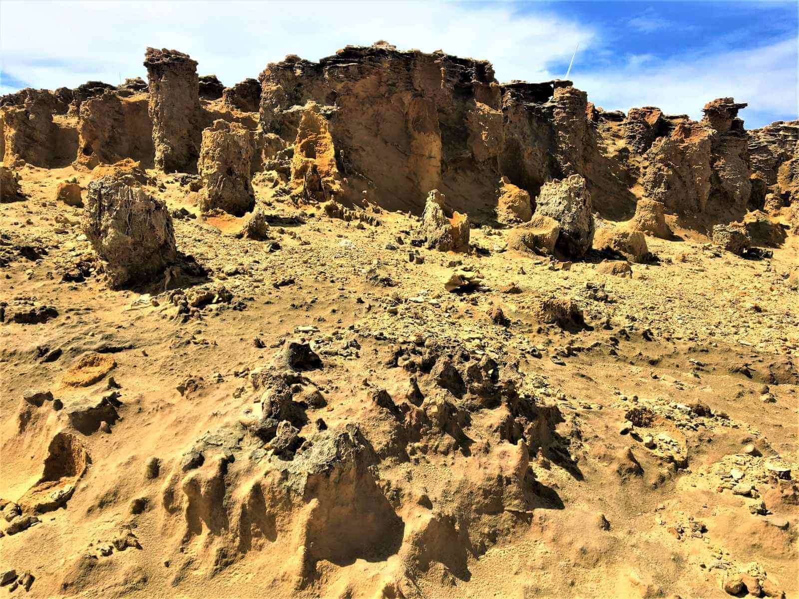 Petrified Forest in Australien