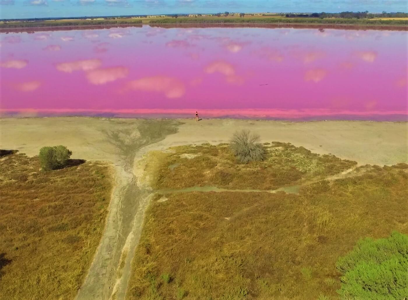 Pink Lake bei Australien