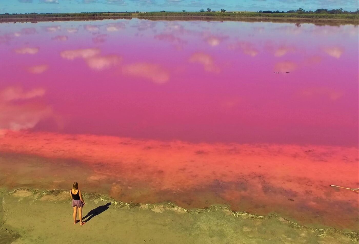 Pink Lake in Australien