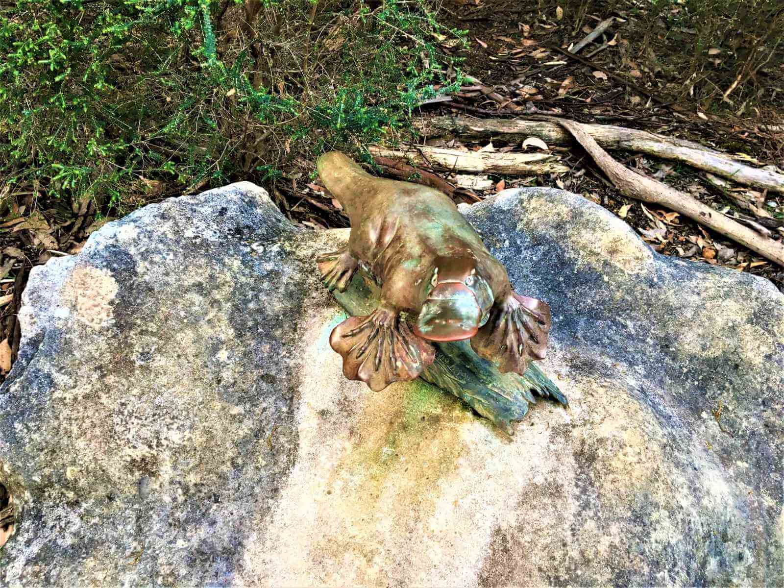 Schnabeltier-Skulptur beim Platypus-Walk