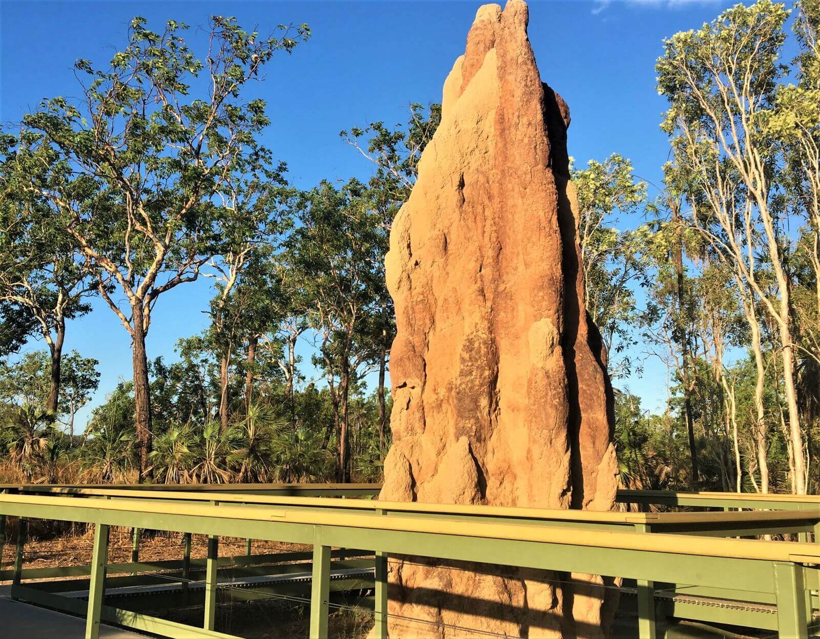 Riesiger Termitenhügel in Australien