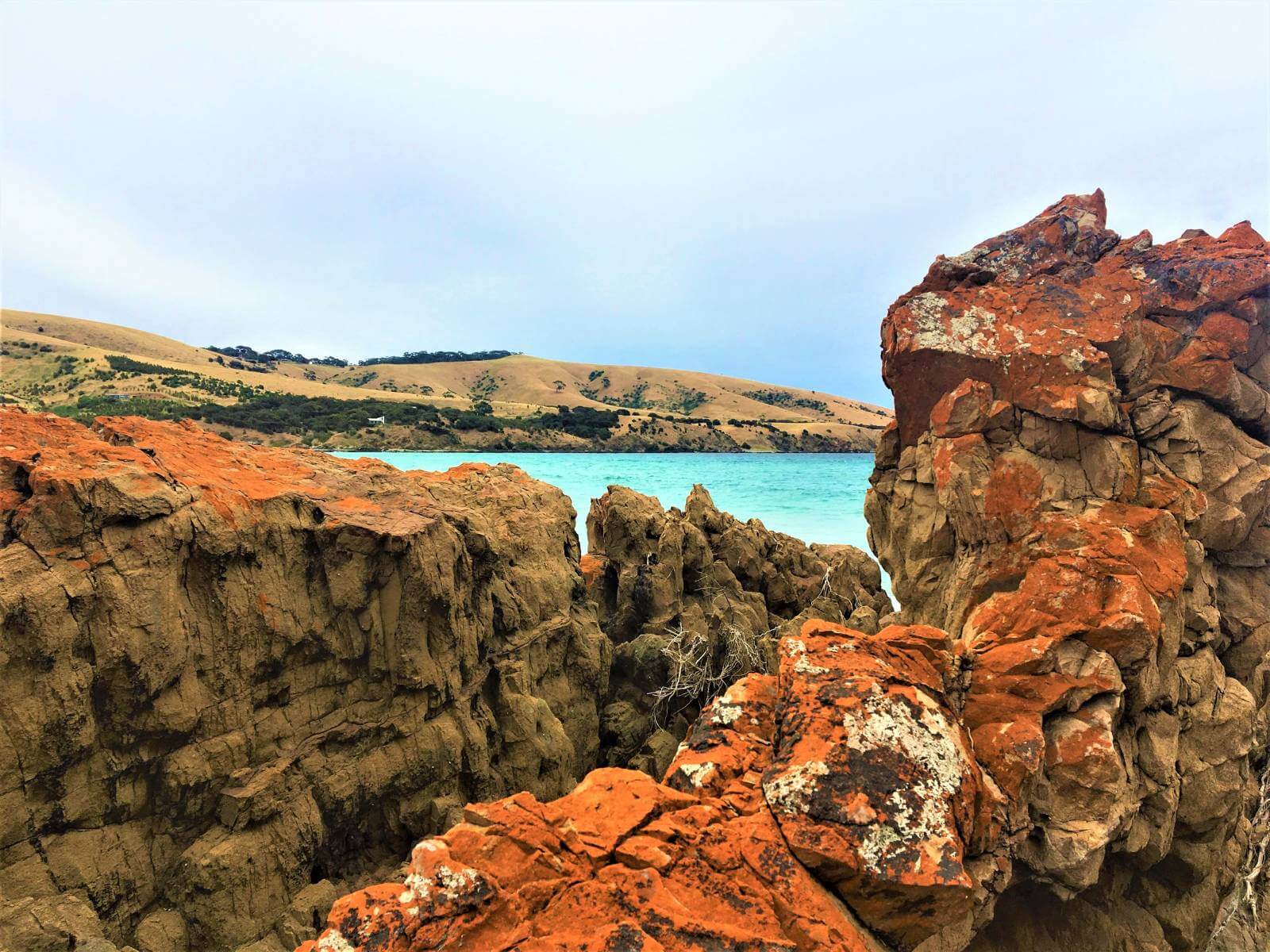 Roter Felsen in Australien