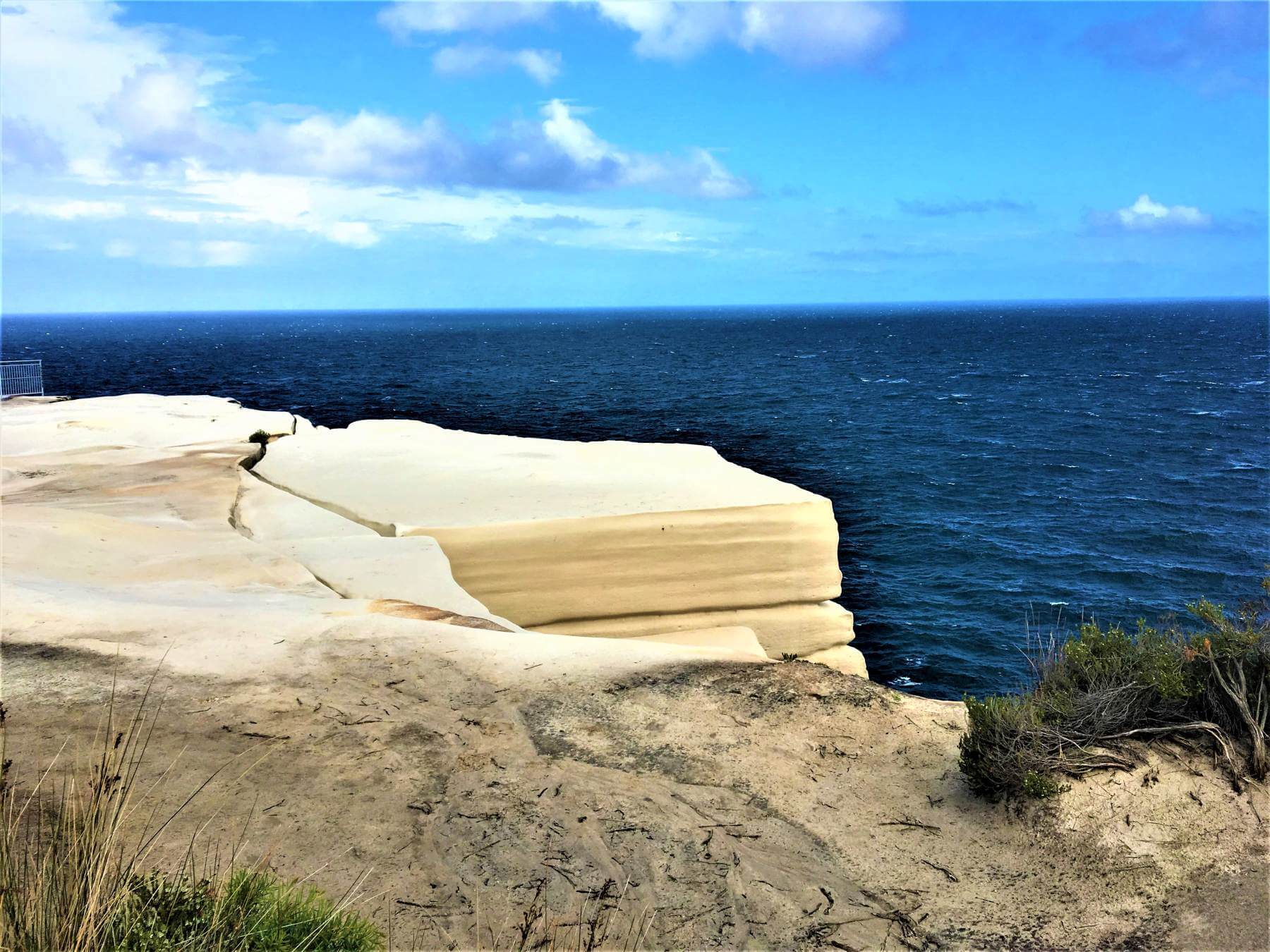 Royal National Park bei Sydney