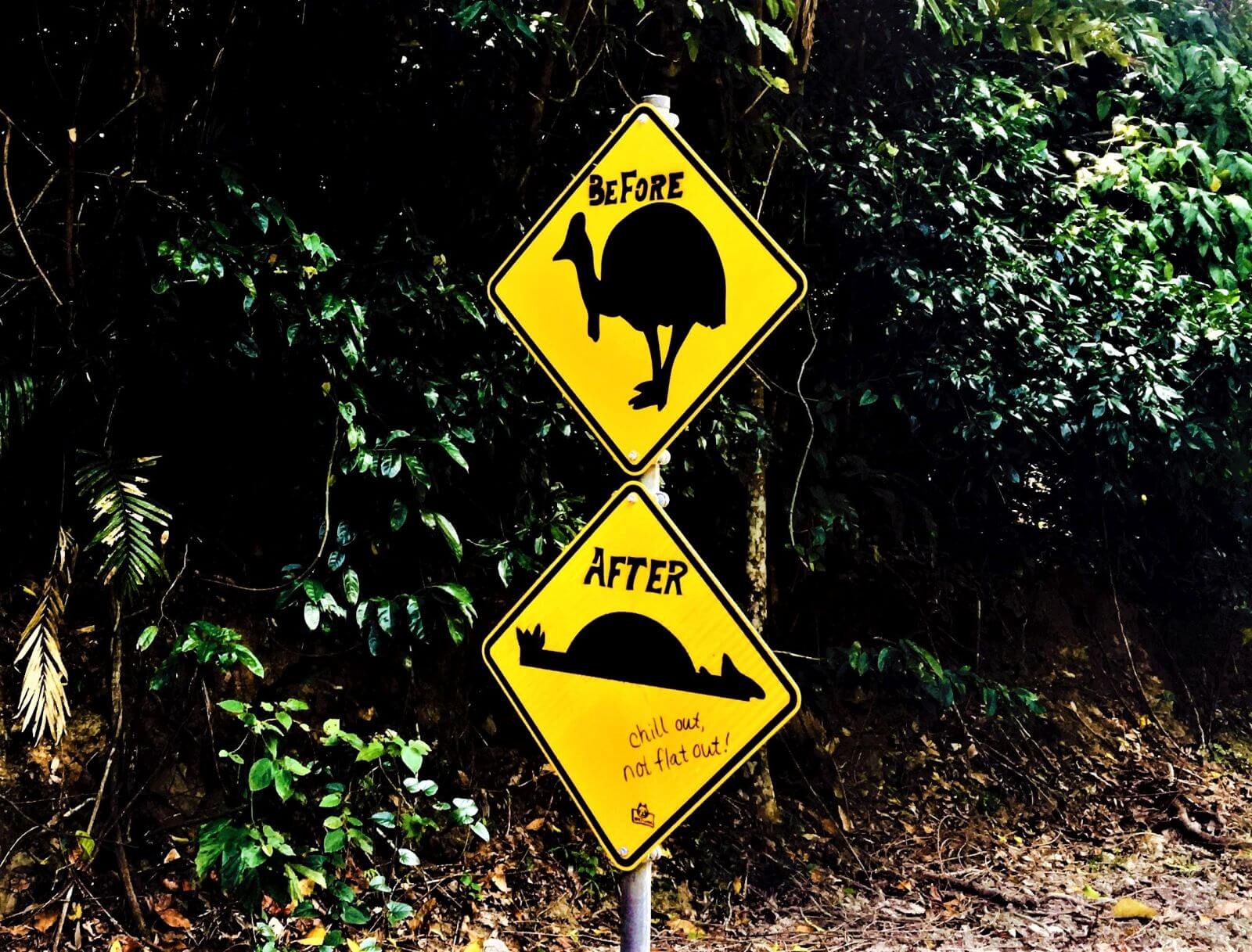 Schild mit Helmkasuare im Daintree Rainforest