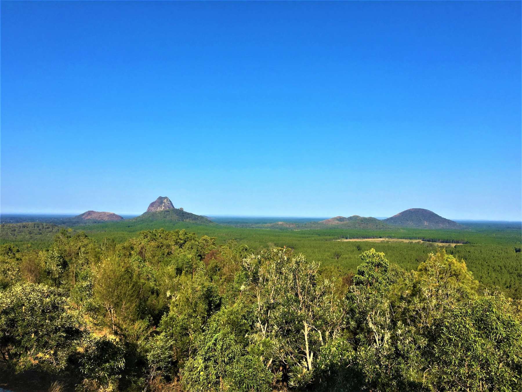 Nationalpark - Sehenswürdigkeiten bei Brisbane