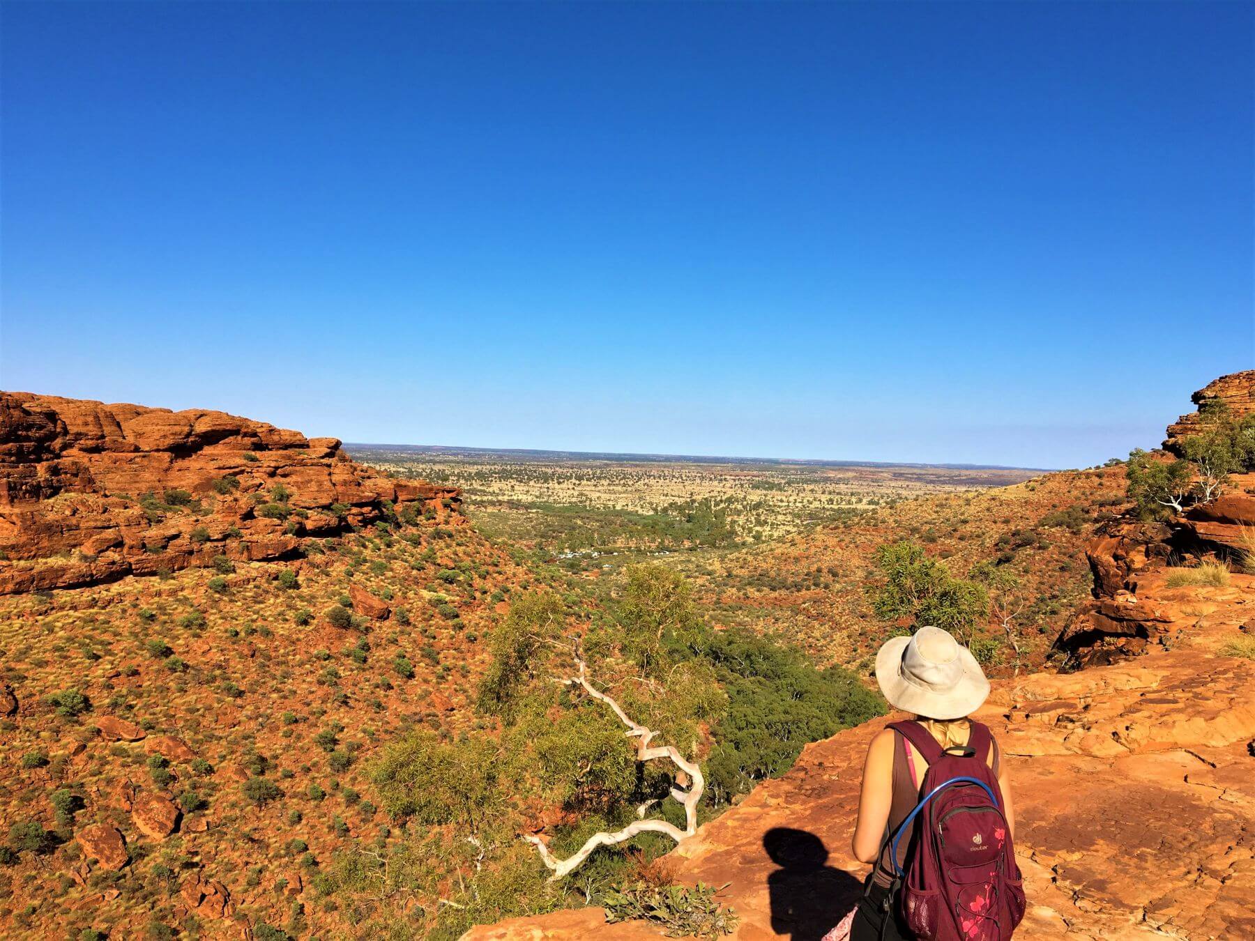 Ausblick vom Kings Canyon - Eine tolle Sehenswürdigkeit bei Alice Springs