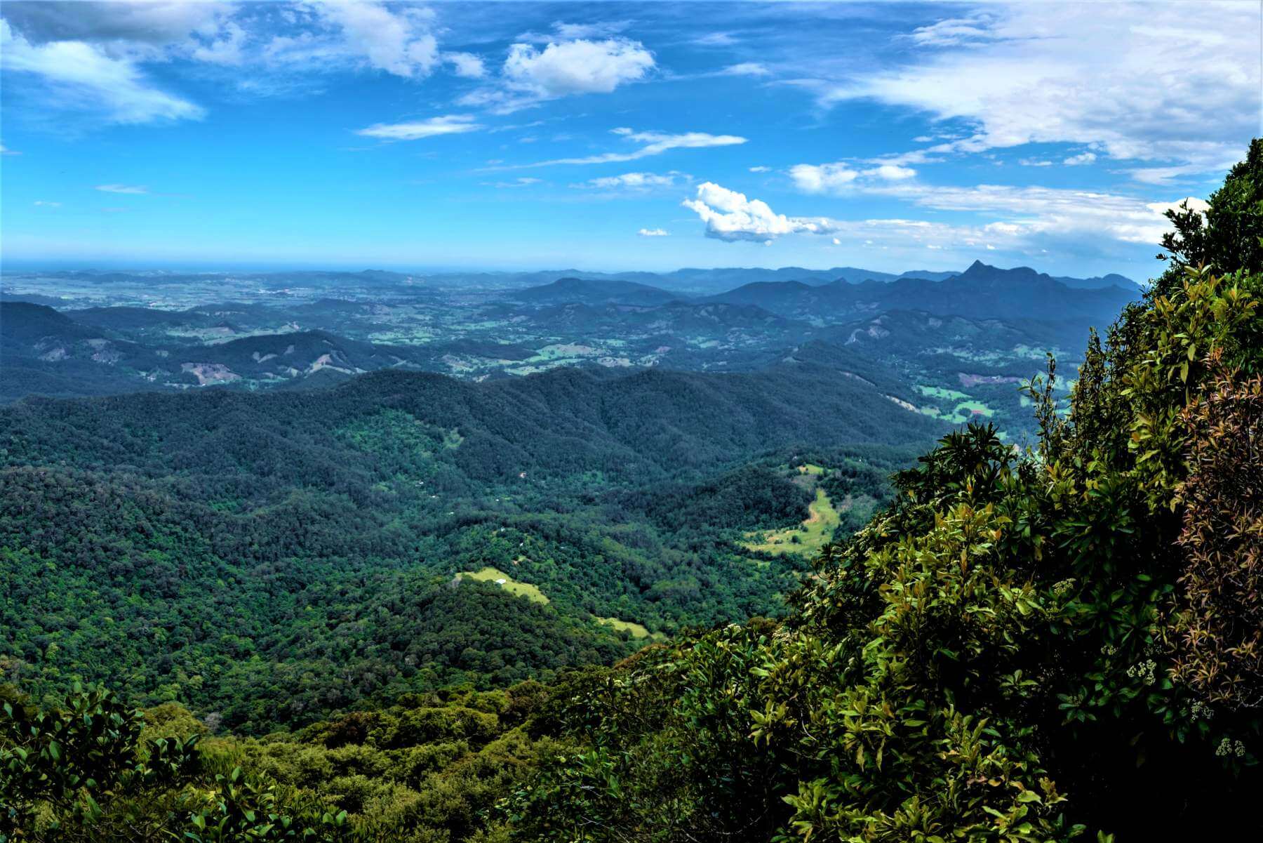 Springbrook Nationalpark in Australien
