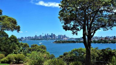 Blick auf Sydney in Australien