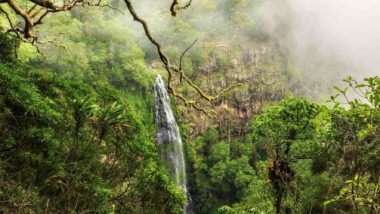 Wasserfall im Lamington National Park