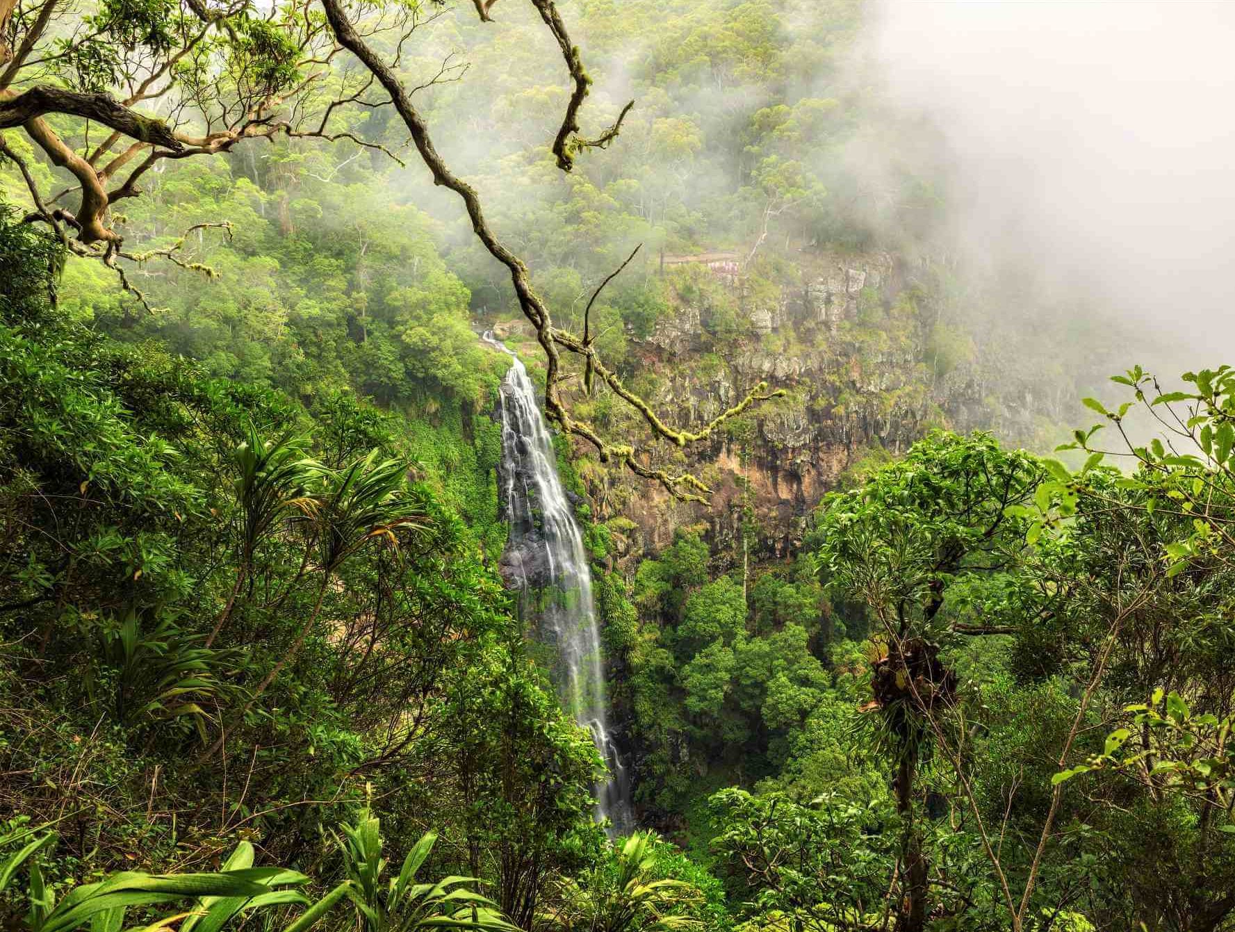 Wasserfall im Lamington National Park