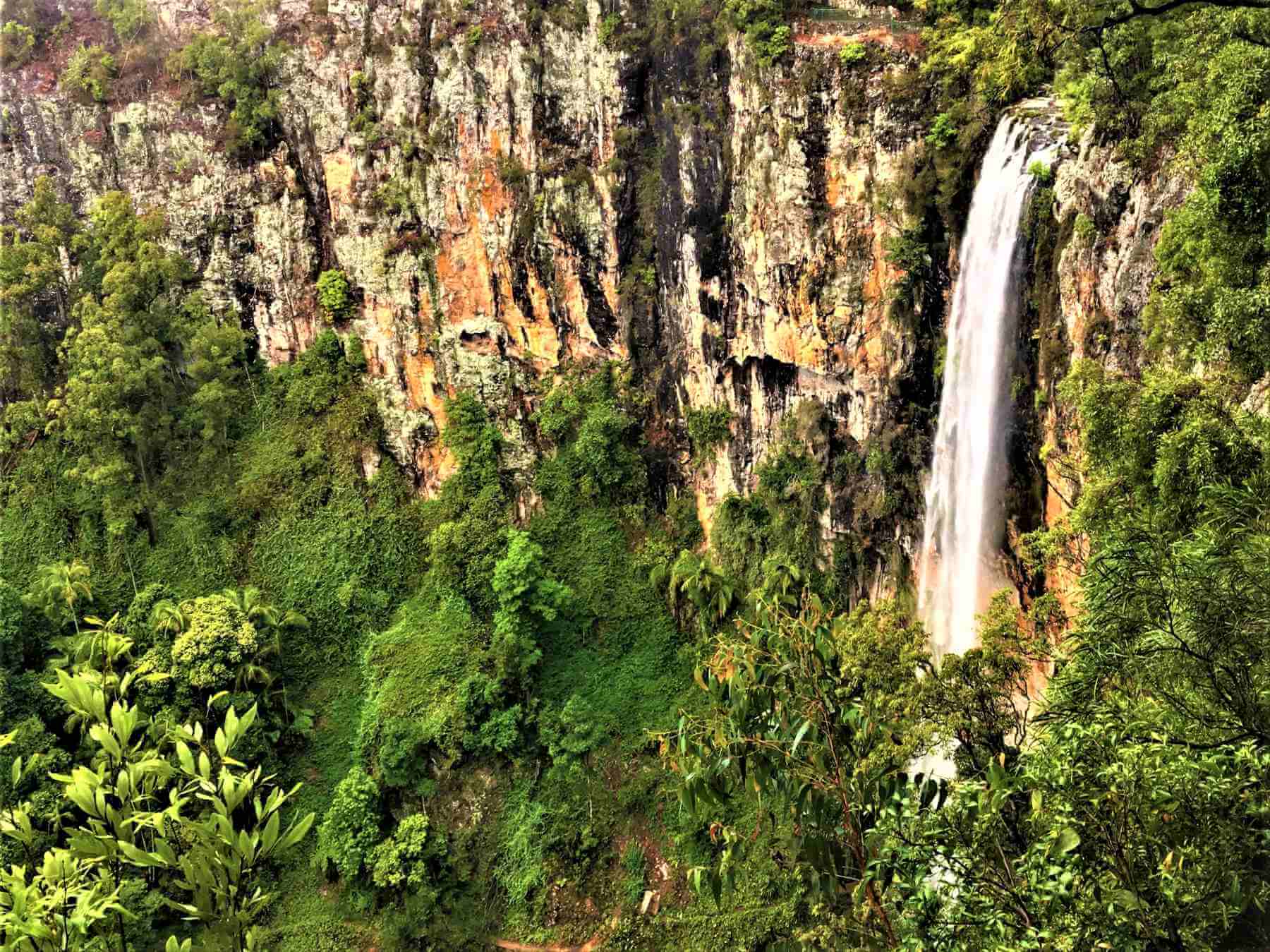 Wasserfall im Springbrook Nationalpark