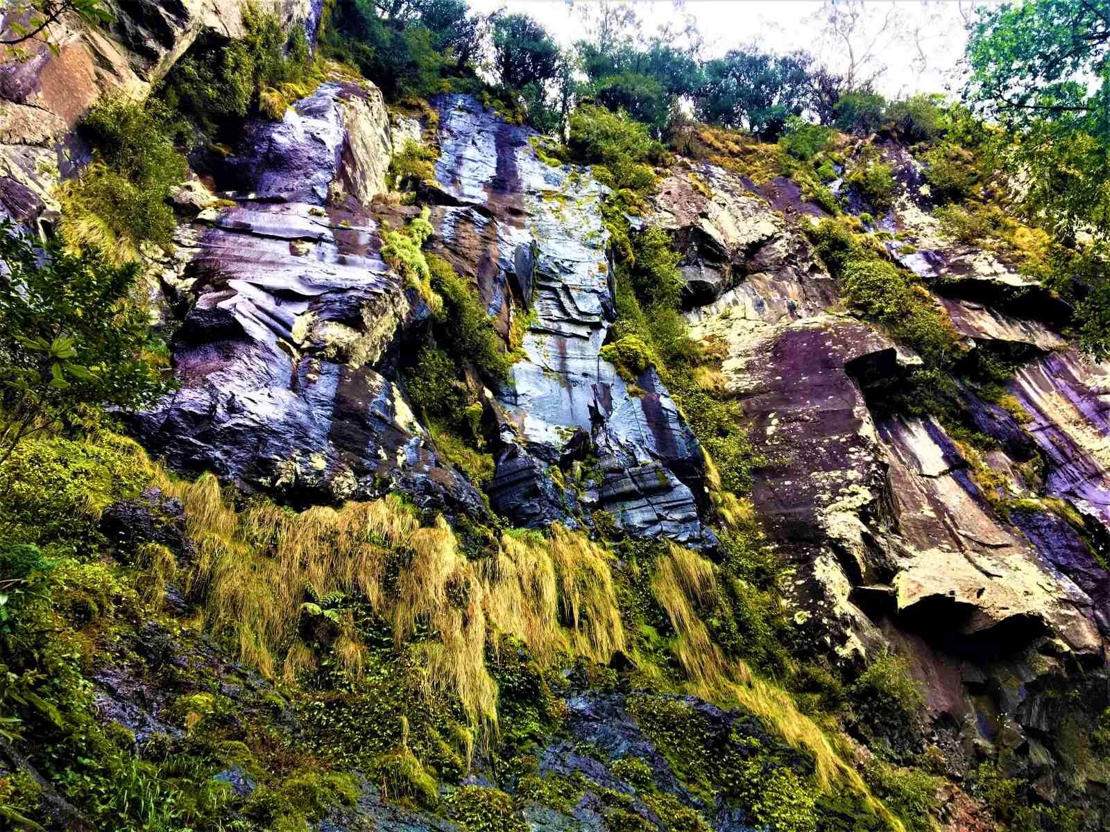 Felsen Weeping Rock auf dem Waterfall Way in Australien