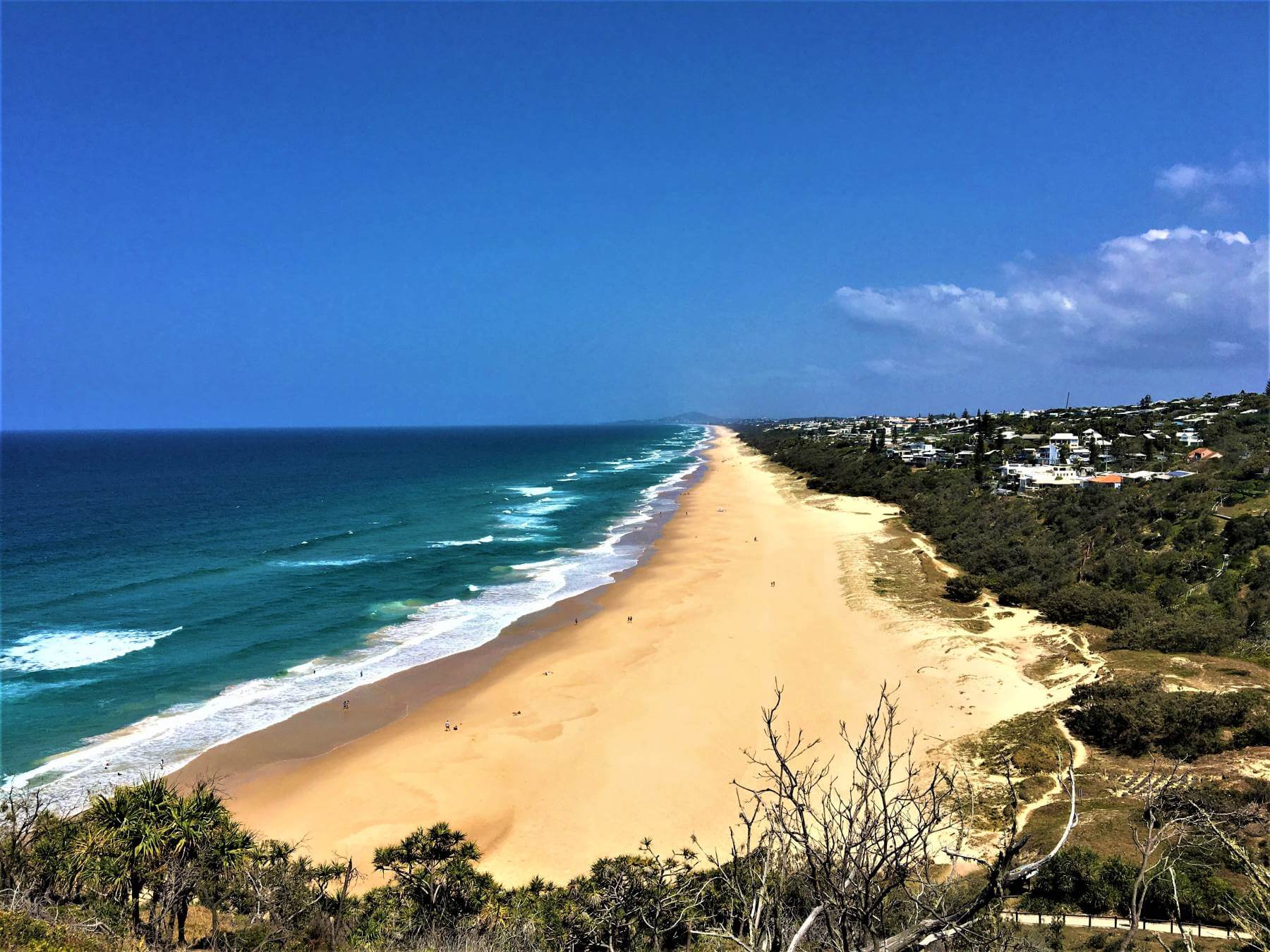 Strand an der Sunshine Coast von Australien