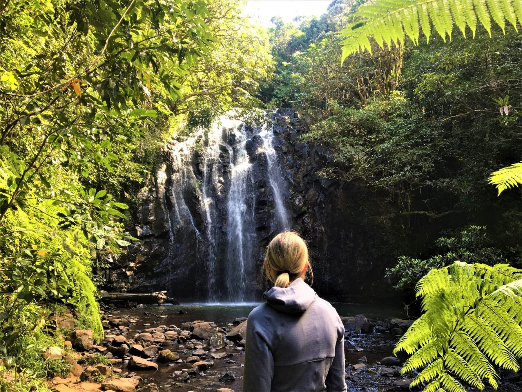 Wasserfälle in Australien - Ellinjaa Falls