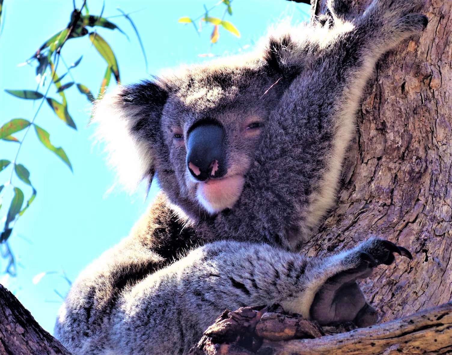 Australien - Highlight