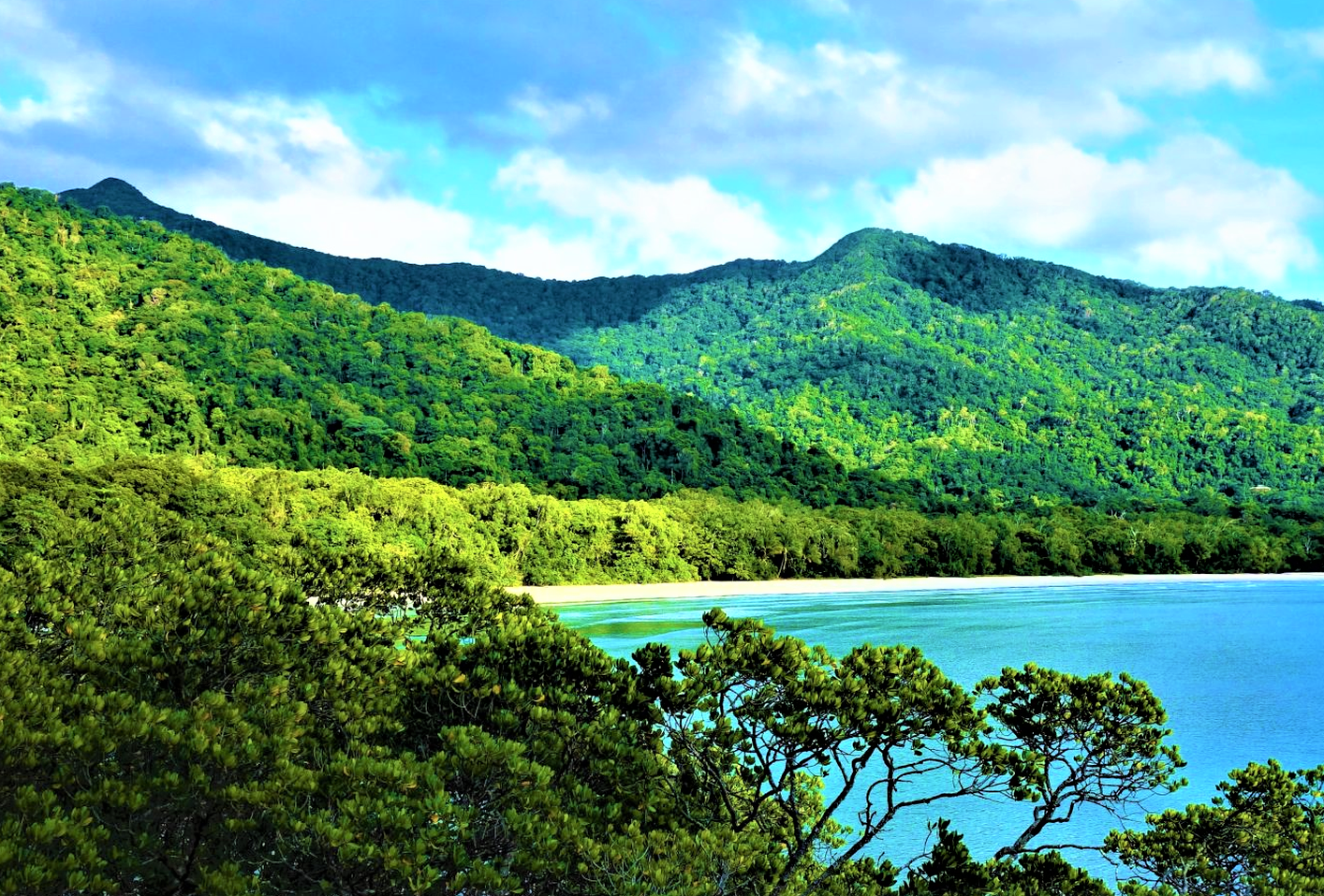 Cape Tribulation - Australien