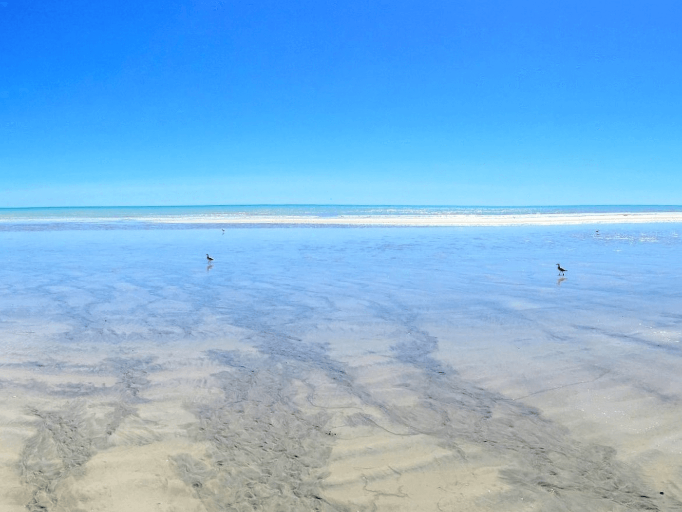 Highlights - Route Perth nach Broome