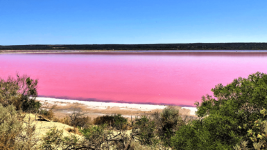 Hutt Lagoon