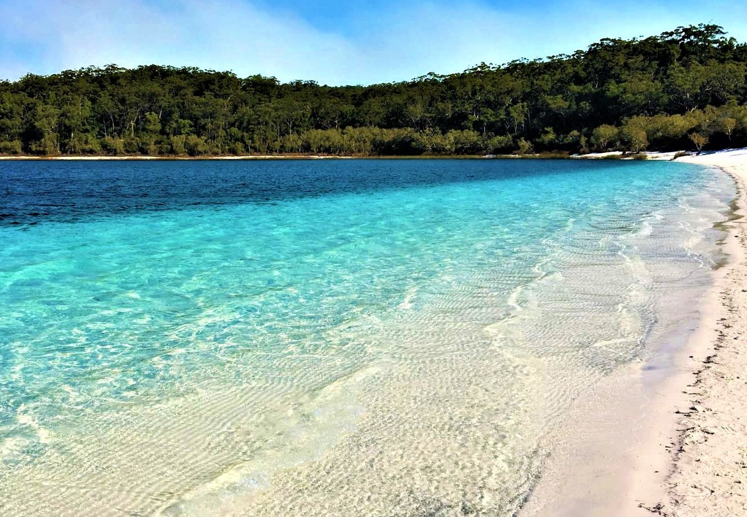 See - Fraser Island