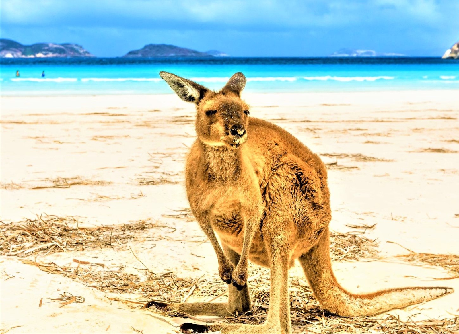 Sehenswürdigkeiten - Australien